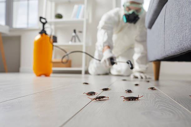 Trusted Fumigation Services service in Central Park, WA - Nex Pest Control
